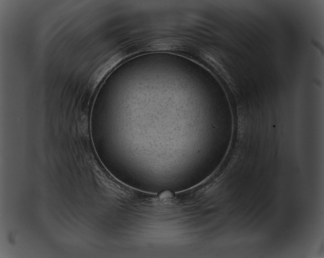 X0000101461465200807141256