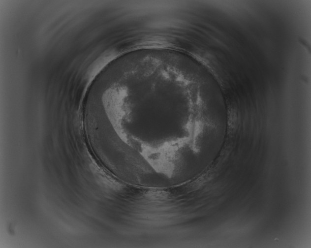 X0000101461466200807141256