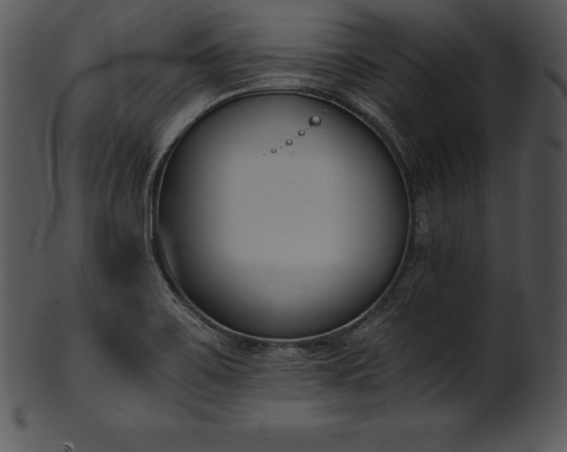 X0000101461467200807141256