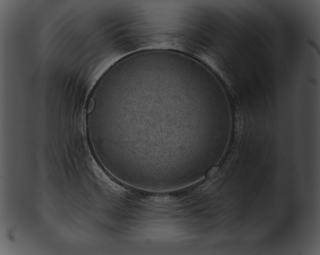 X0000101461468200807141255
