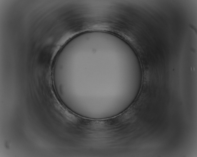 X0000101461470200807141255