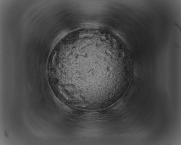 X0000101461471200807141255