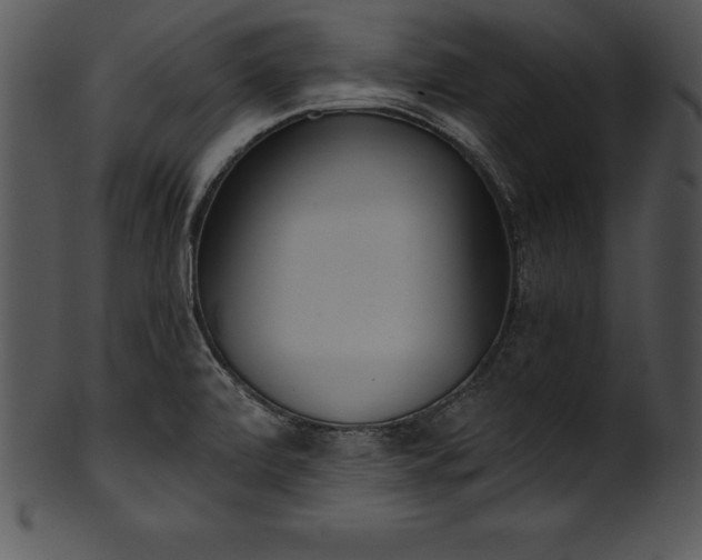 X0000101461472200807141255