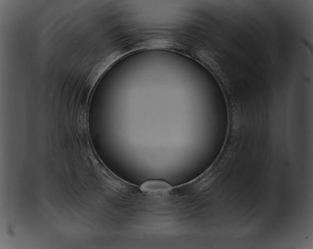 X0000101461473200807141255