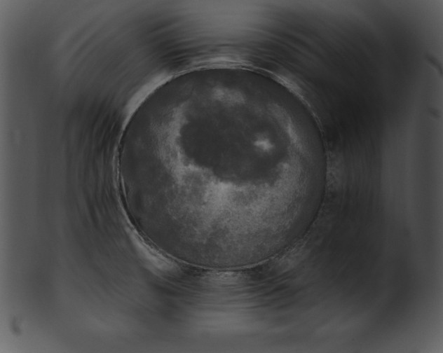 X0000101461474200807141255