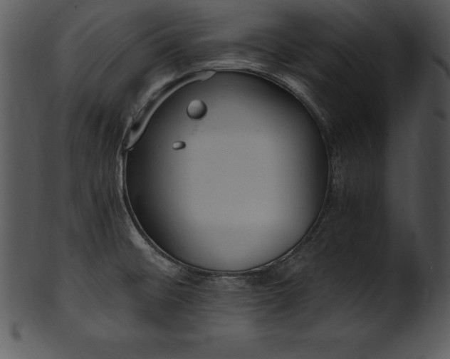 X0000101461476200807141255