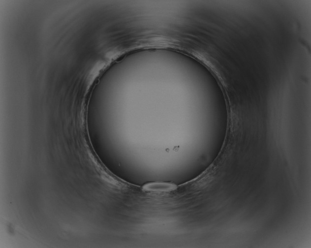 X0000101461477200807141255