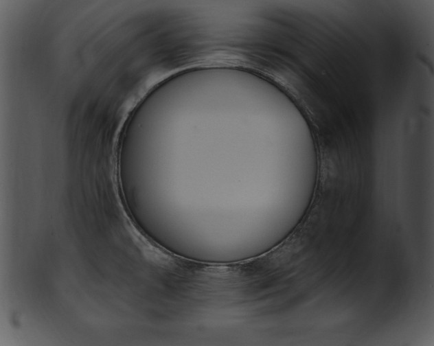 X0000101461478200807141255