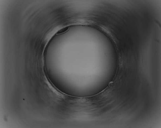 X0000101461479200807141255