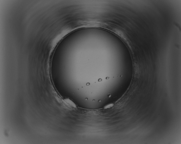 X0000101461480200807141255