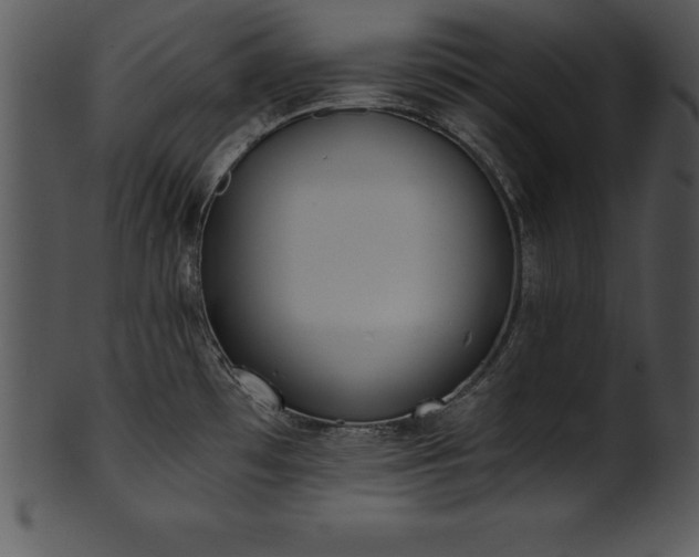 X0000101461481200807141255
