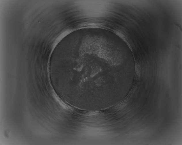 X0000101461482200807141255