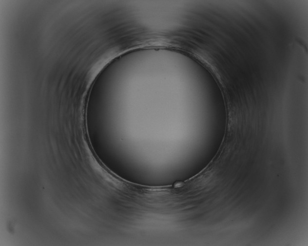 X0000101461483200807141255