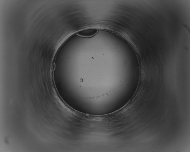 X0000101461484200807141255
