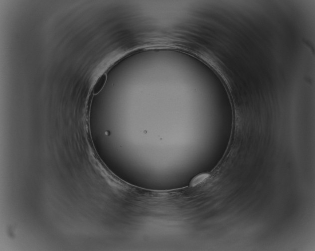 X0000101461485200807141255