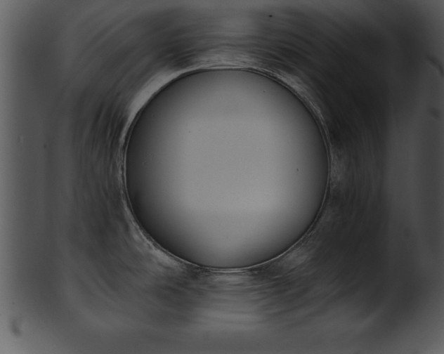 X0000101461486200807141255
