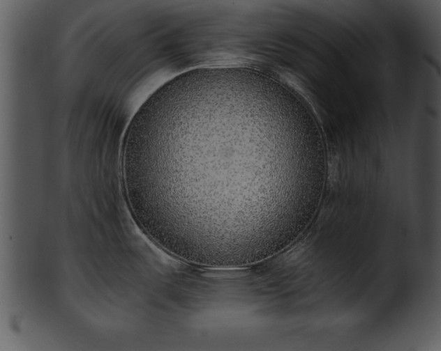 X0000101461487200807141255