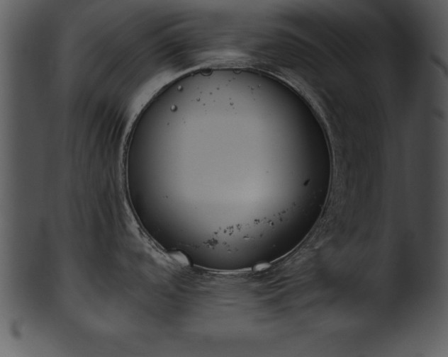 X0000101461488200807141255