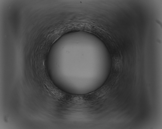 X0000101461489200807141255