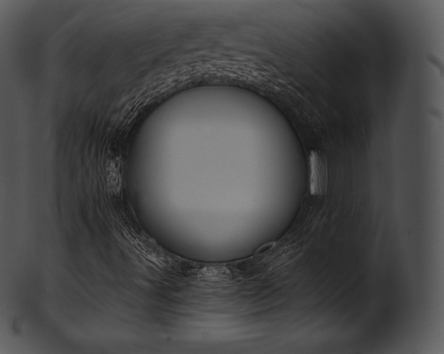 X0000101461491200807141255