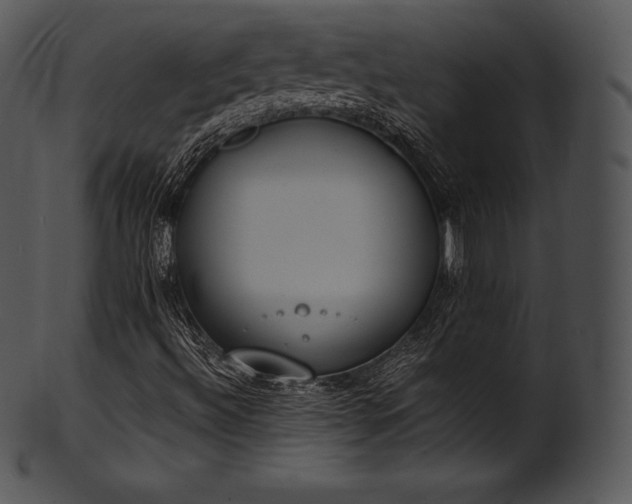 X0000101461492200807141255
