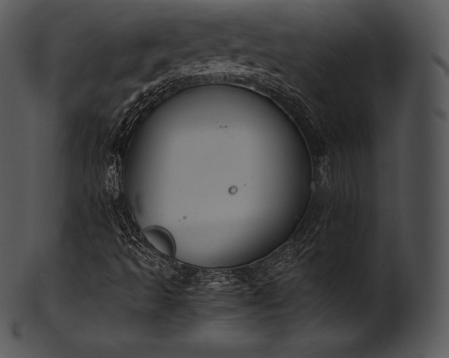 X0000101461493200807141255