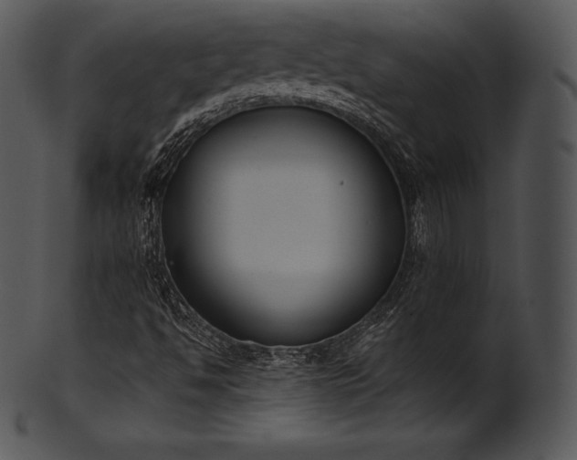 X0000101461494200807141255