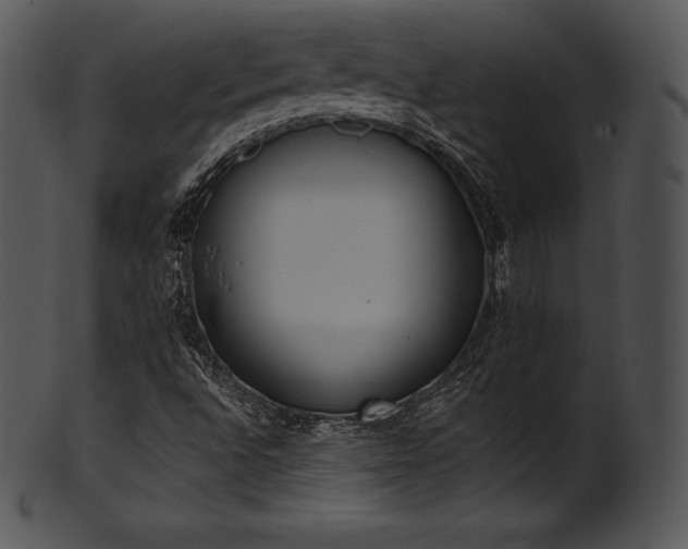 X0000101461496200807141255