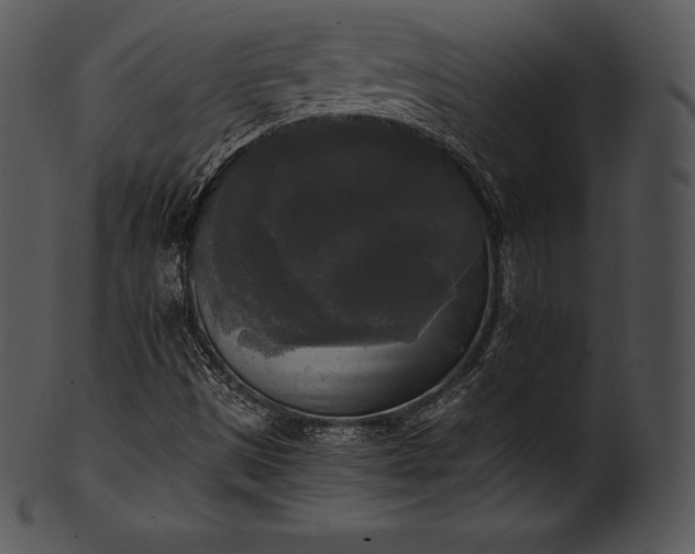 X0000101461497200807141255