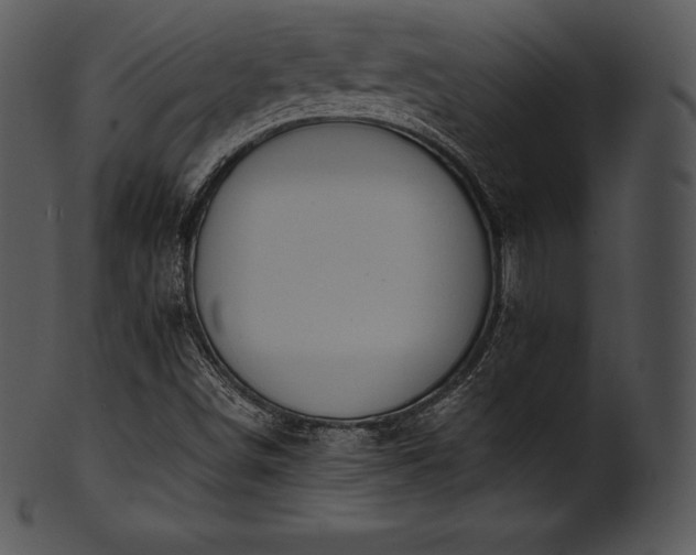 X0000101461498200807141255