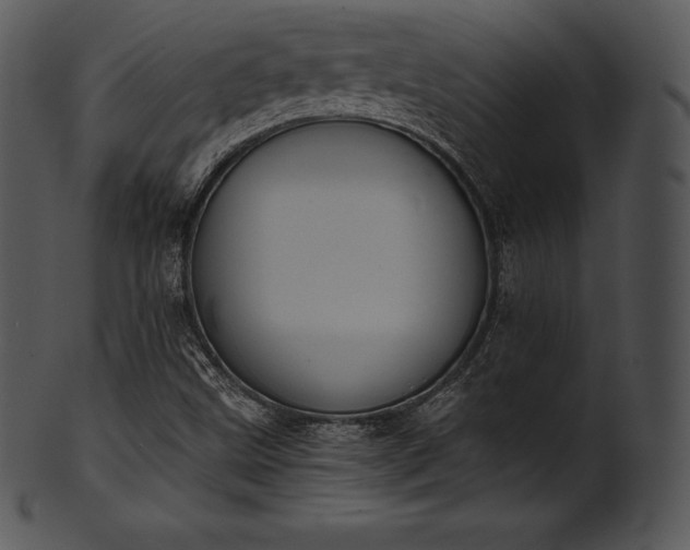 X0000101461499200807141255