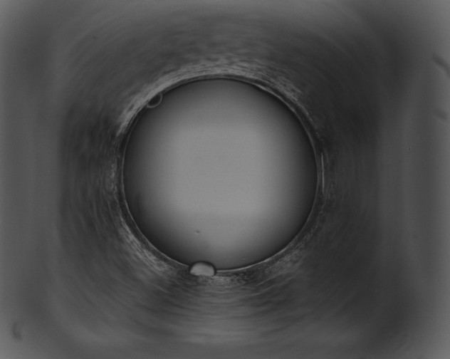 X0000101461500200807141255