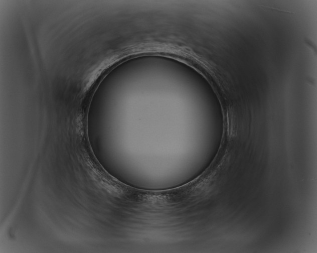X0000101461501200807141255