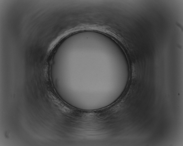 X0000101461502200807141255