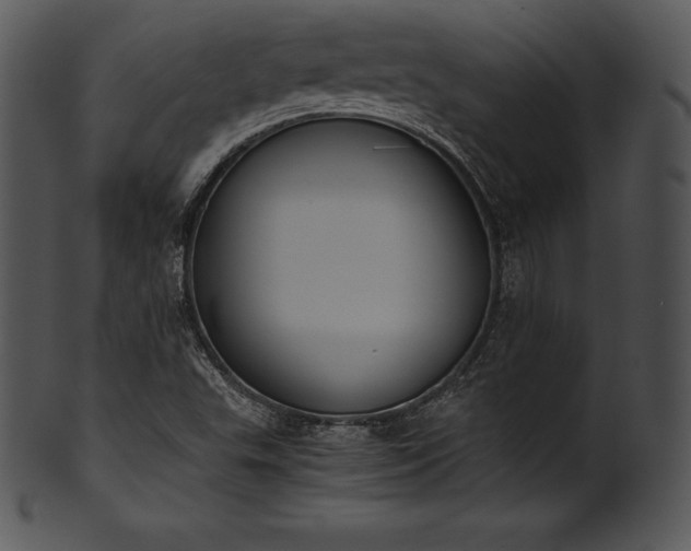 X0000101461503200807141255