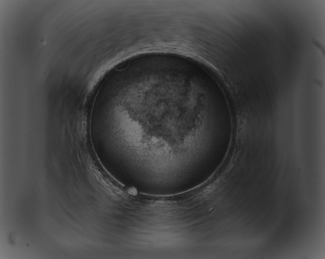 X0000101461506200807141255