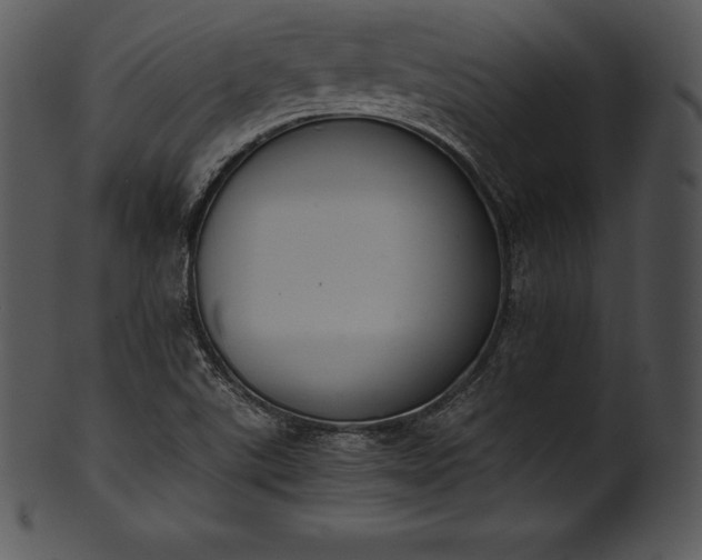 X0000101461507200807141255