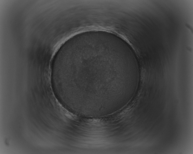 X0000101461508200807141255