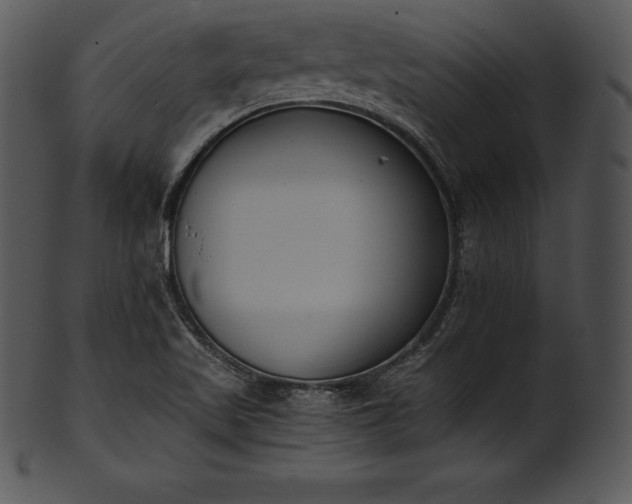 X0000101461509200807141255
