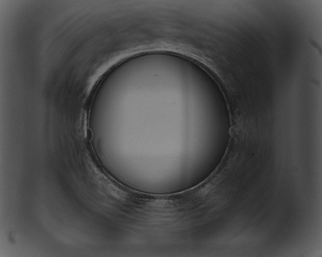 X0000101461510200807141255