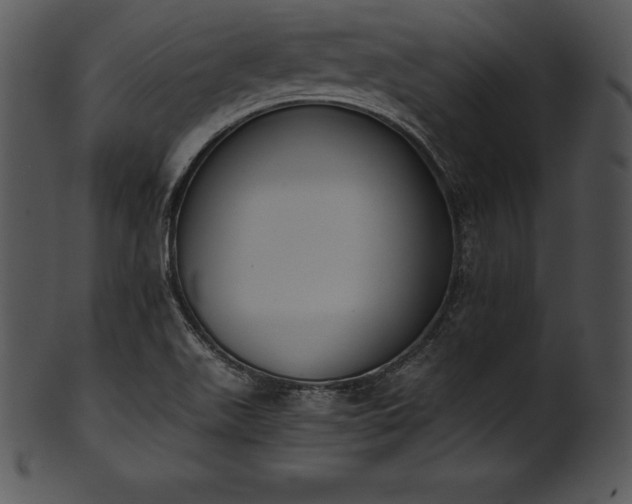 X0000101461511200807141255