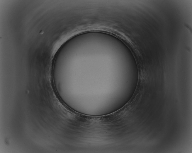 X0000101461512200807141255