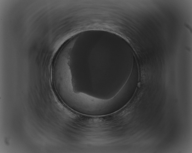 X0000101461515200807141255