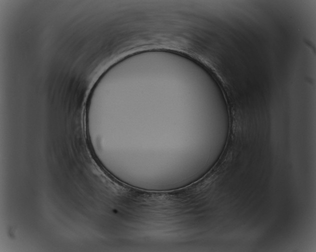 X0000101461516200807141255