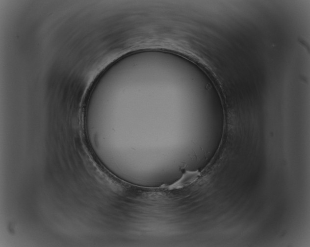 X0000101461517200807141255