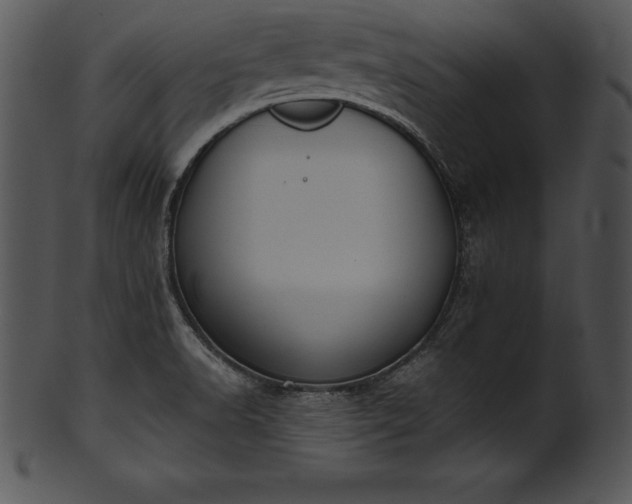 X0000101461518200807141255