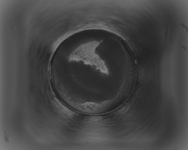 X0000101461519200807141255