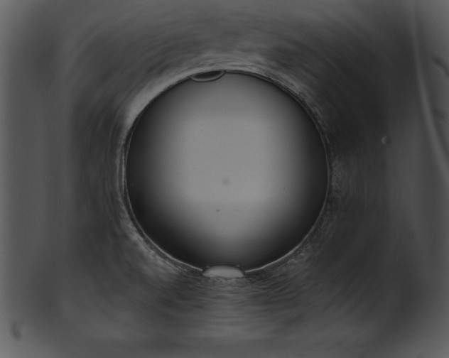 X0000101461520200807141255
