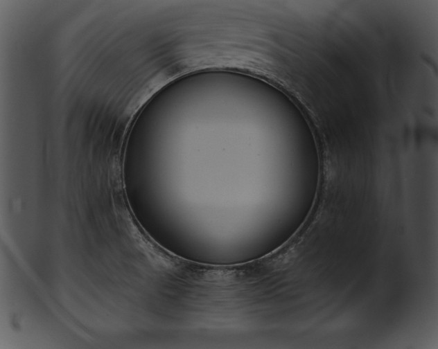 X0000101461521200807141255
