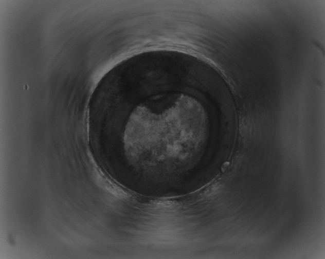 X0000101461522200807141255
